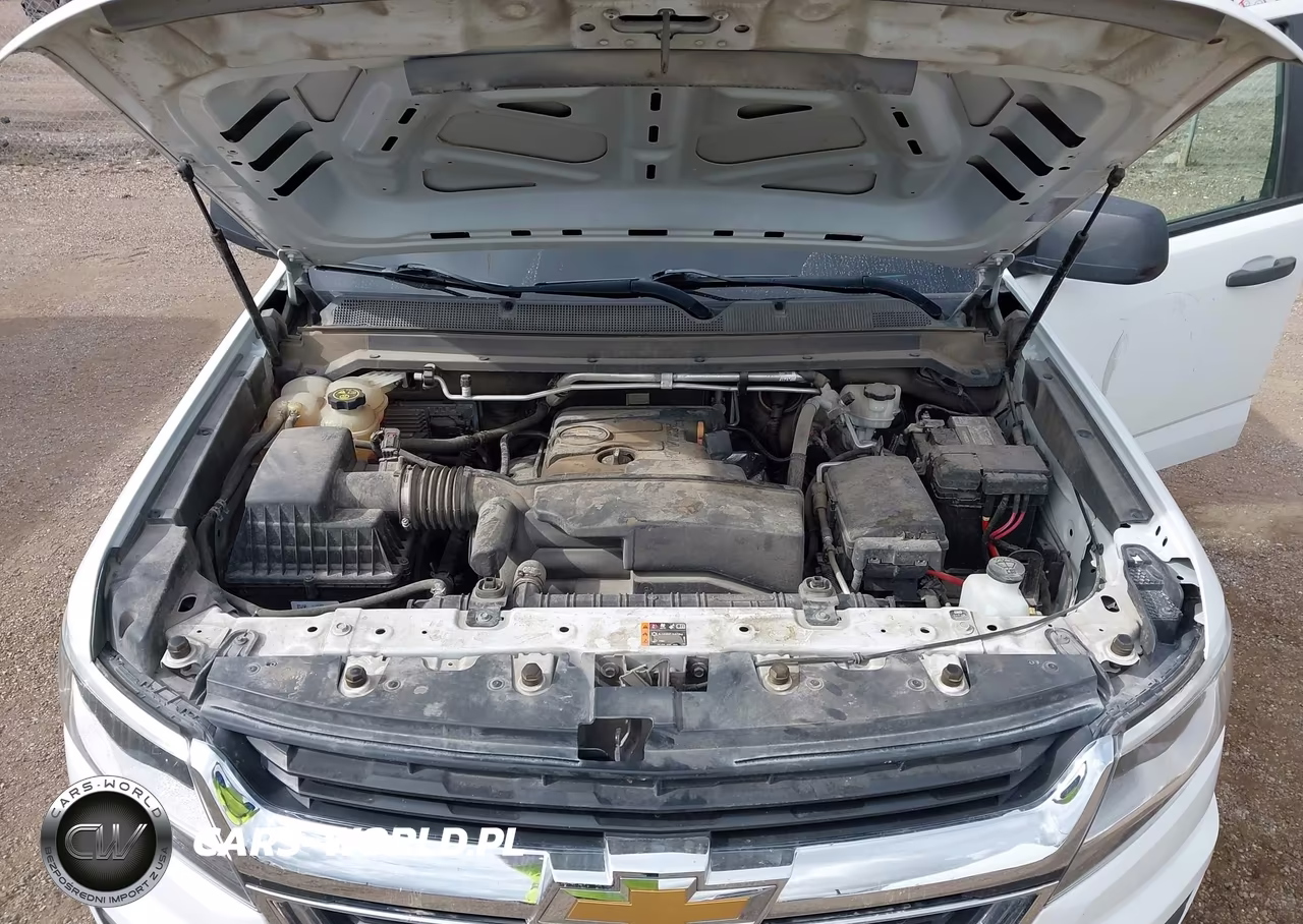 2020 Chevrolet Colorado 2Wd Long Box Wt VIN:1GCHSBEA5L1185445 - 10