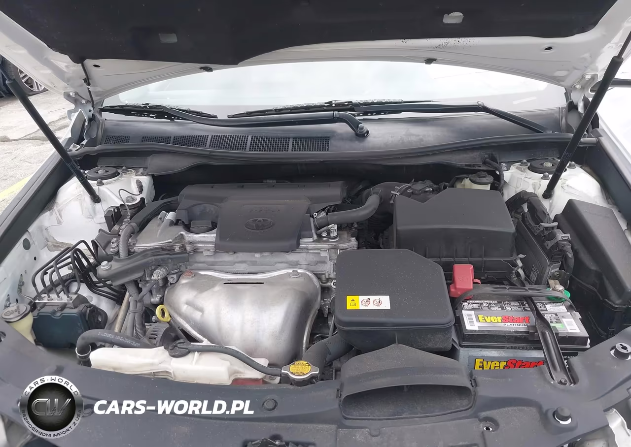 2014 Toyota Camry Se VIN:4T1BF1FK3EU765818 - 10
