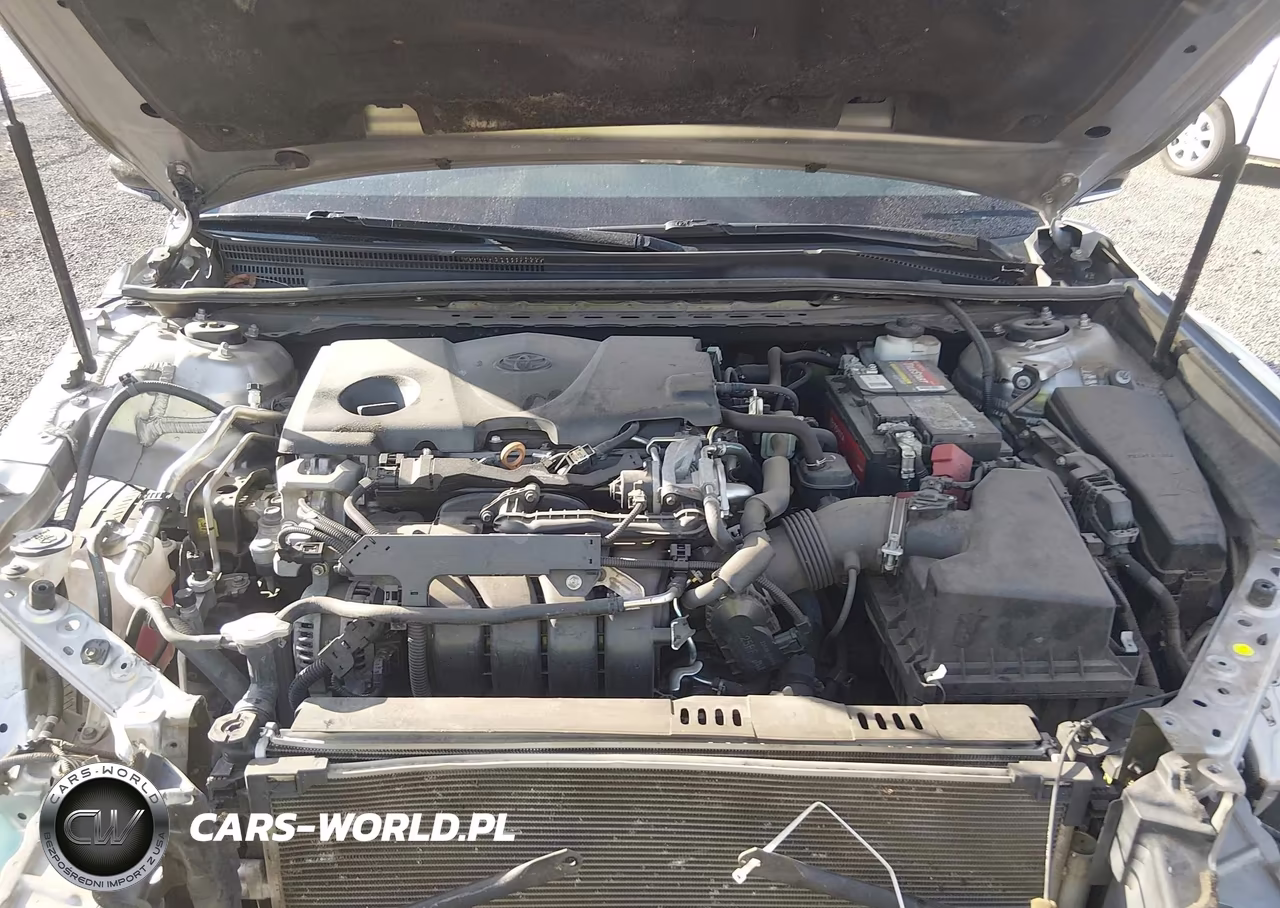 2019 Toyota Camry Xse VIN:4T1B61HK0KU192689 - 10