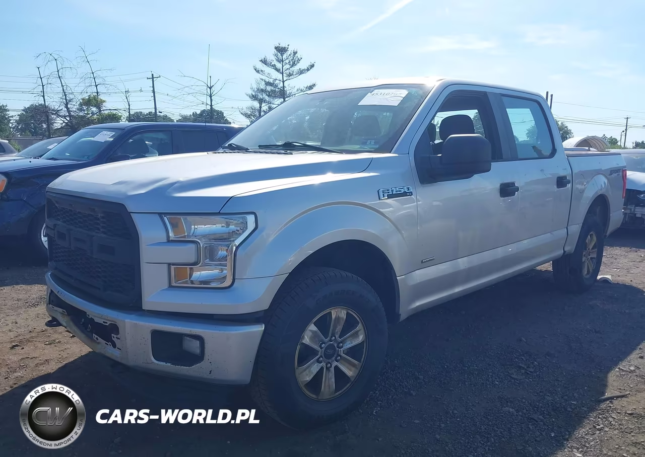 2016 Ford F-150 Xl VIN:1FTEW1EP6GFC10805 - 12