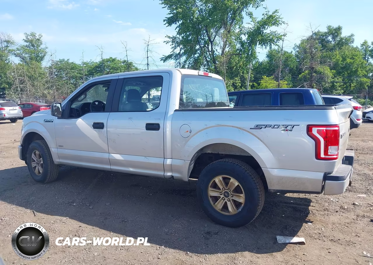 2016 Ford F-150 Xl VIN:1FTEW1EP6GFC10805 - 15