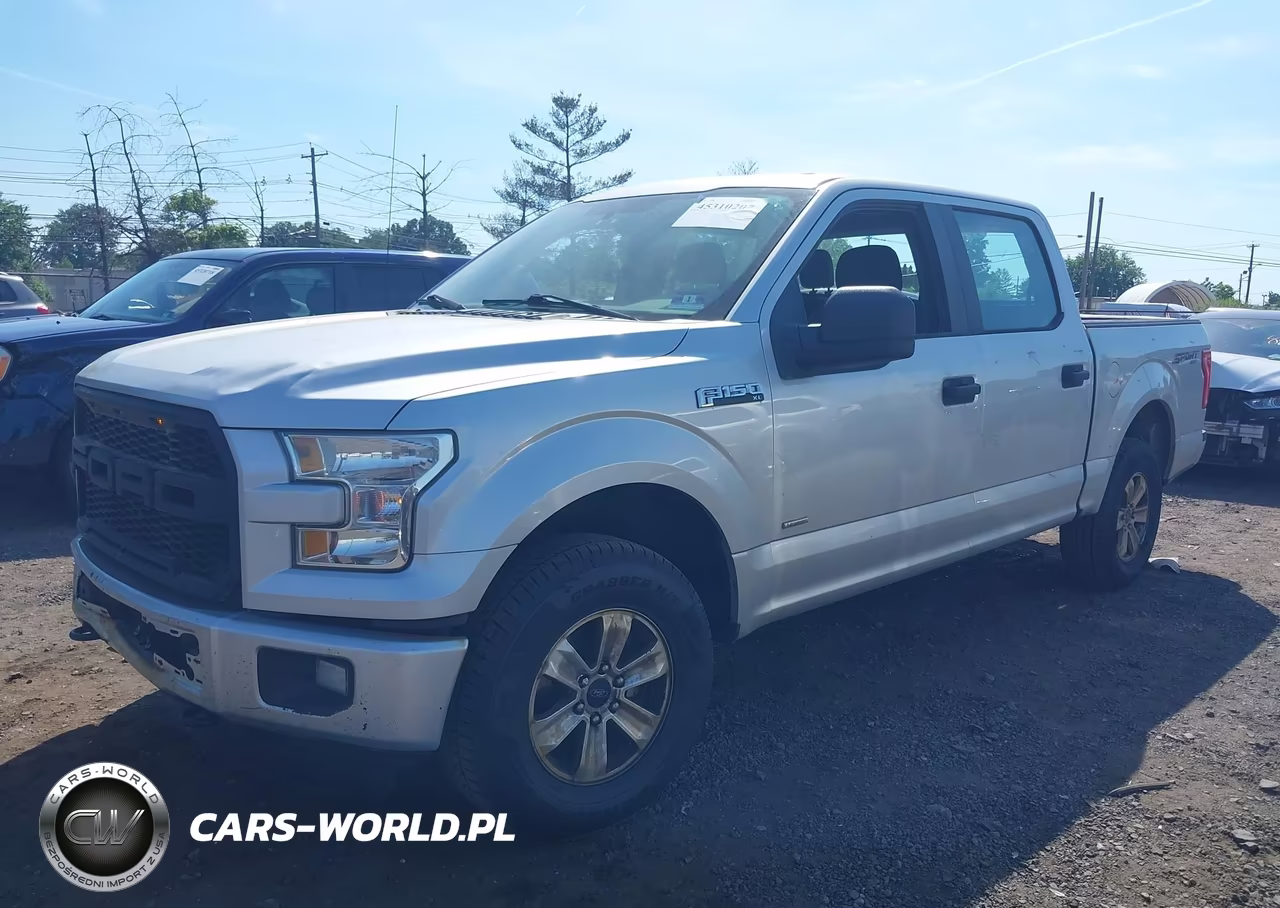 2016 Ford F-150 Xl VIN:1FTEW1EP6GFC10805 - 2
