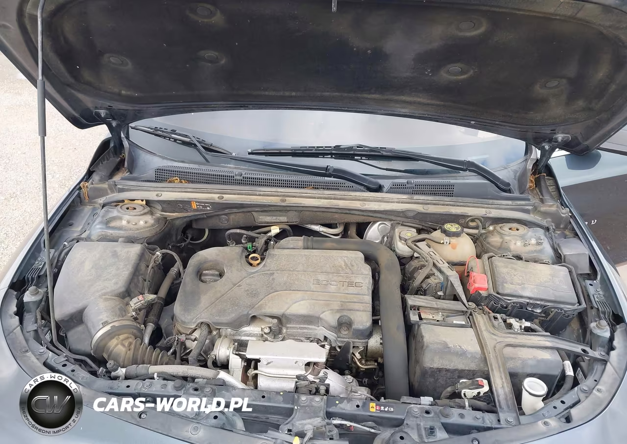 2019 Chevrolet Malibu 1Ls VIN:1G1ZB5ST7KF197876 - 10