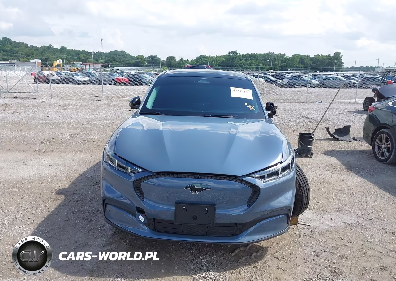 2024 Ford Mustang Mach-E Select VIN:3FMTK1R42RMA45319 - 12
