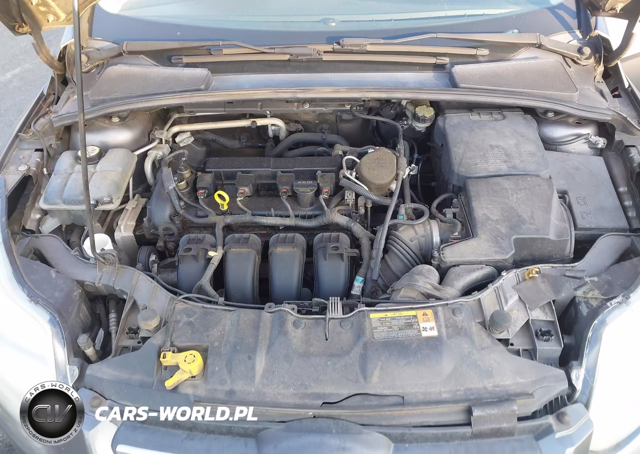 2013 Ford Focus Se VIN:1FADP3F24DL249869 - 10
