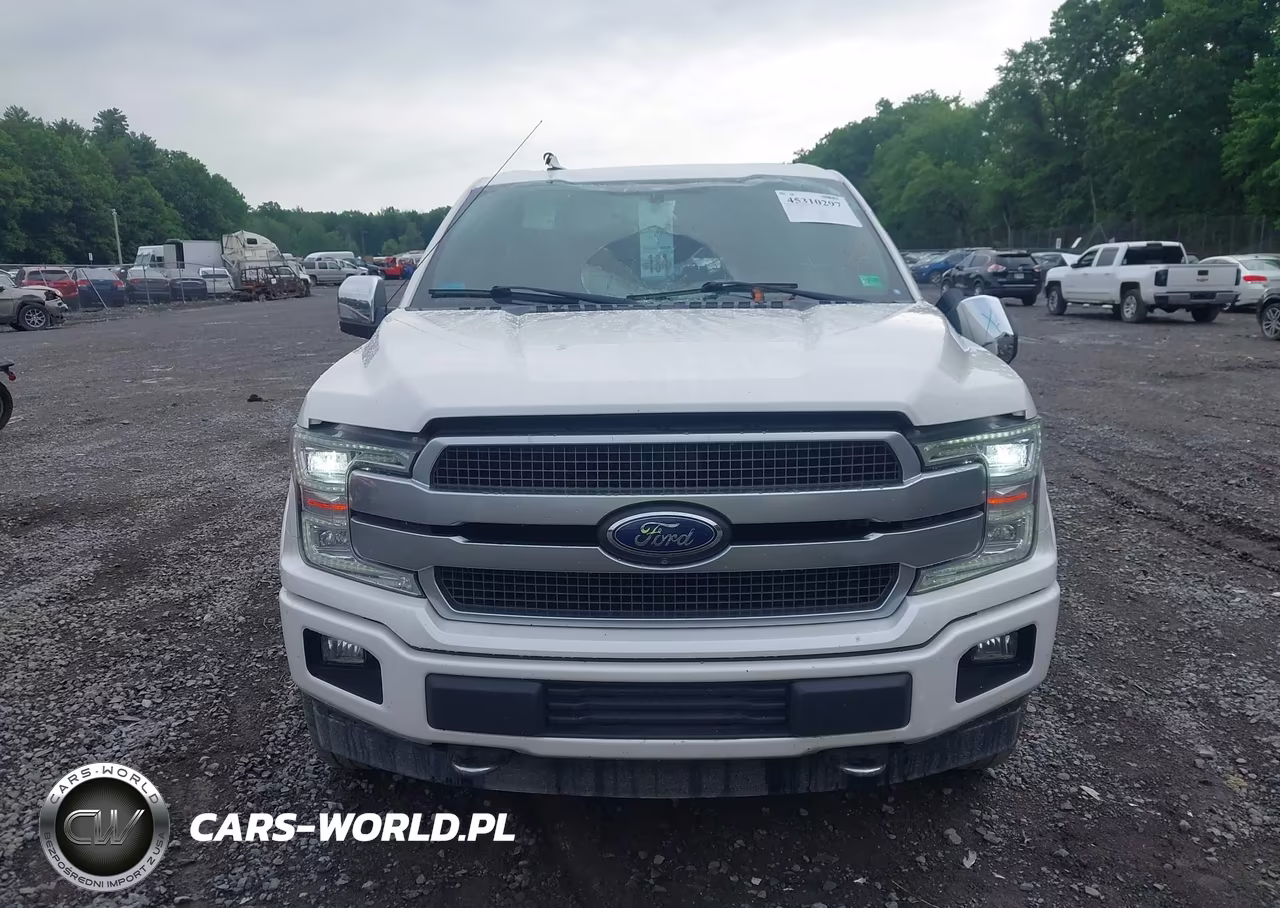 2018 Ford F-150 Platinum VIN:1FTEW1E51JFC51445 - 12