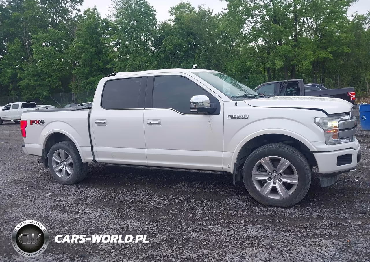 2018 Ford F-150 Platinum VIN:1FTEW1E51JFC51445 - 13