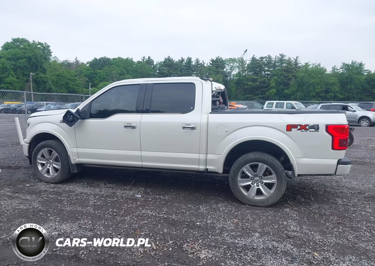 2018 Ford F-150 Platinum VIN:1FTEW1E51JFC51445 - 14
