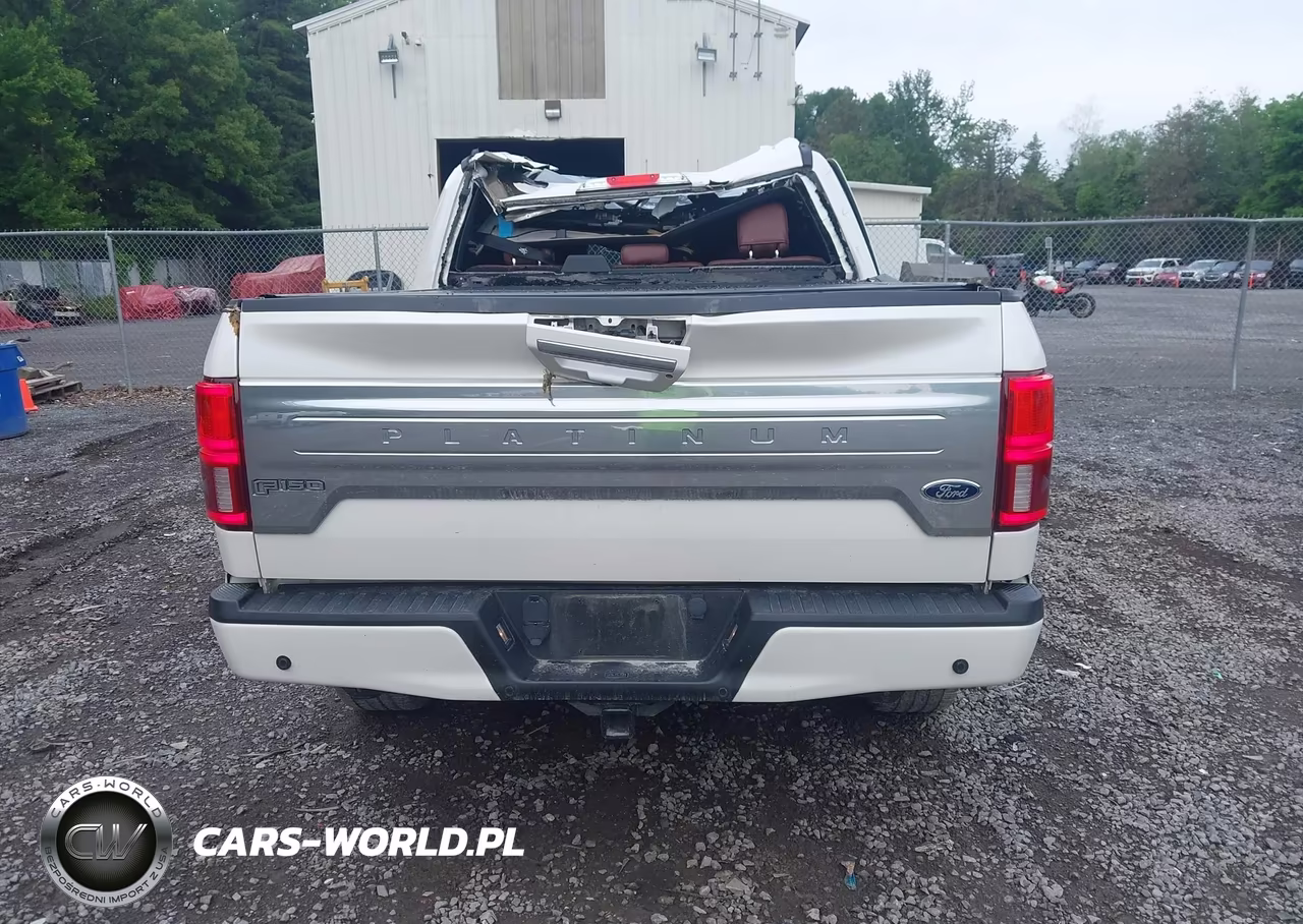 2018 Ford F-150 Platinum VIN:1FTEW1E51JFC51445 - 16