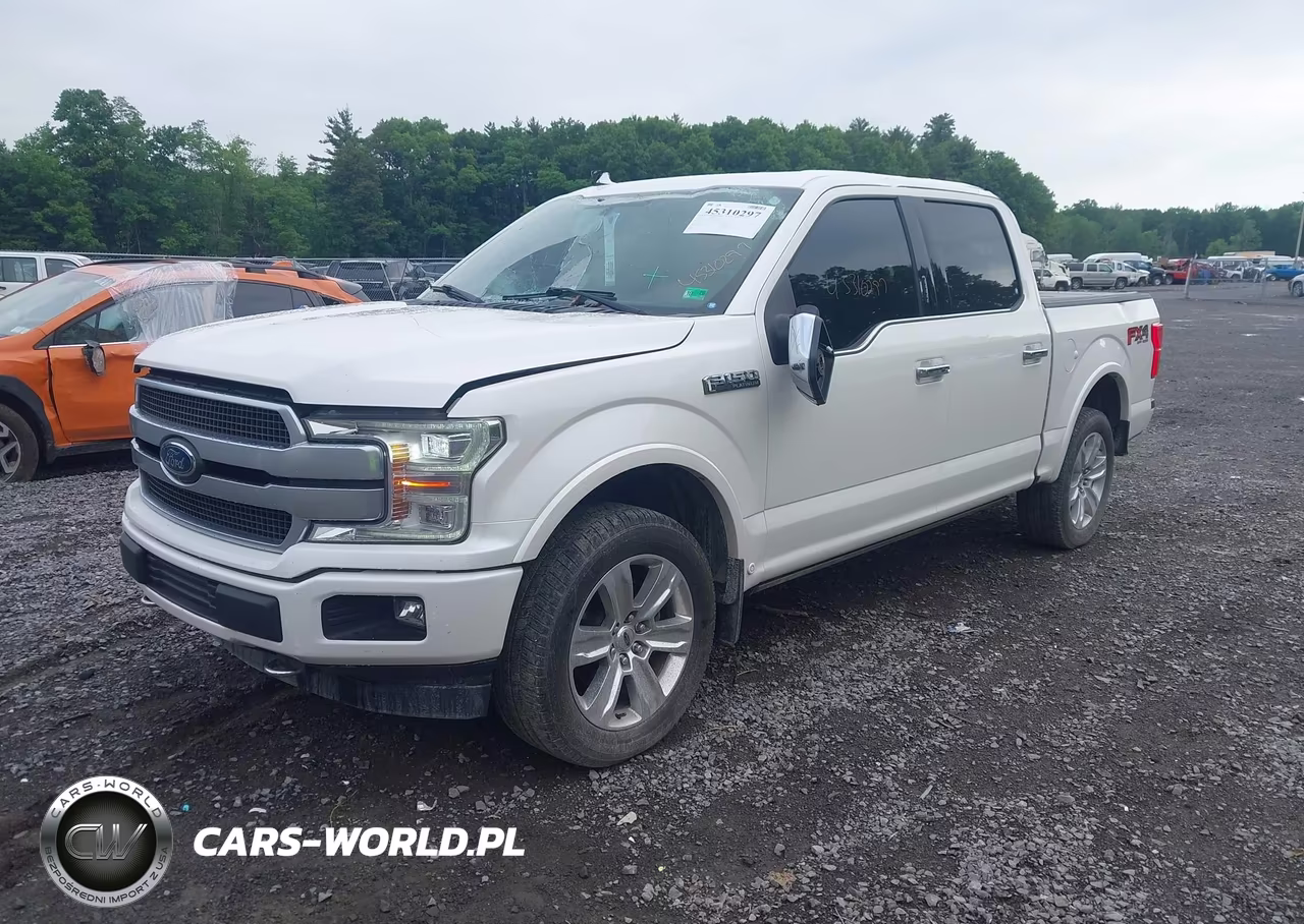 2018 Ford F-150 Platinum VIN:1FTEW1E51JFC51445 - 2