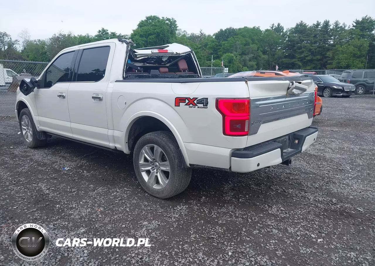 2018 Ford F-150 Platinum VIN:1FTEW1E51JFC51445 - 3
