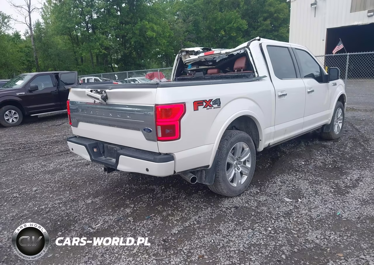 2018 Ford F-150 Platinum VIN:1FTEW1E51JFC51445 - 4
