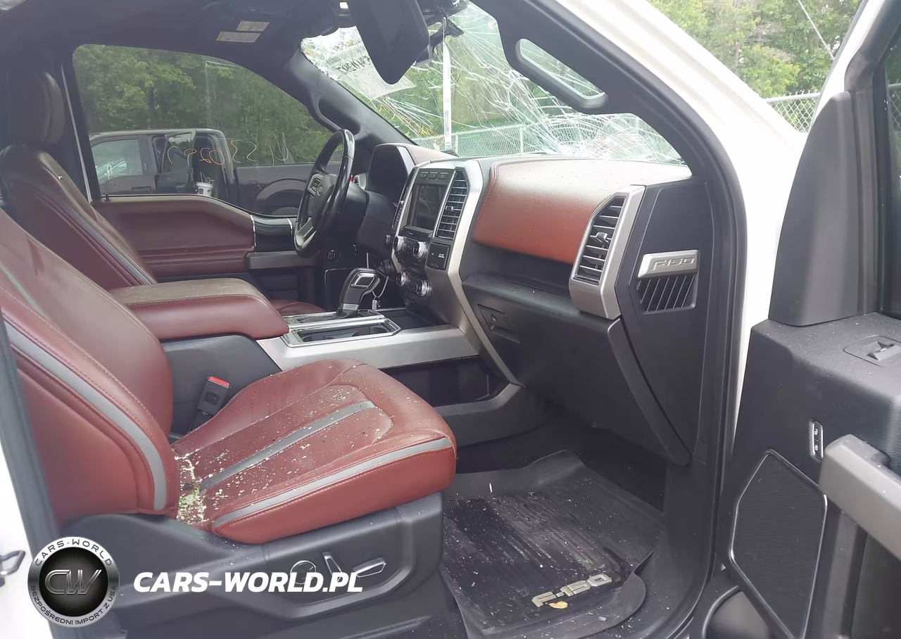 2018 Ford F-150 Platinum VIN:1FTEW1E51JFC51445 - 5