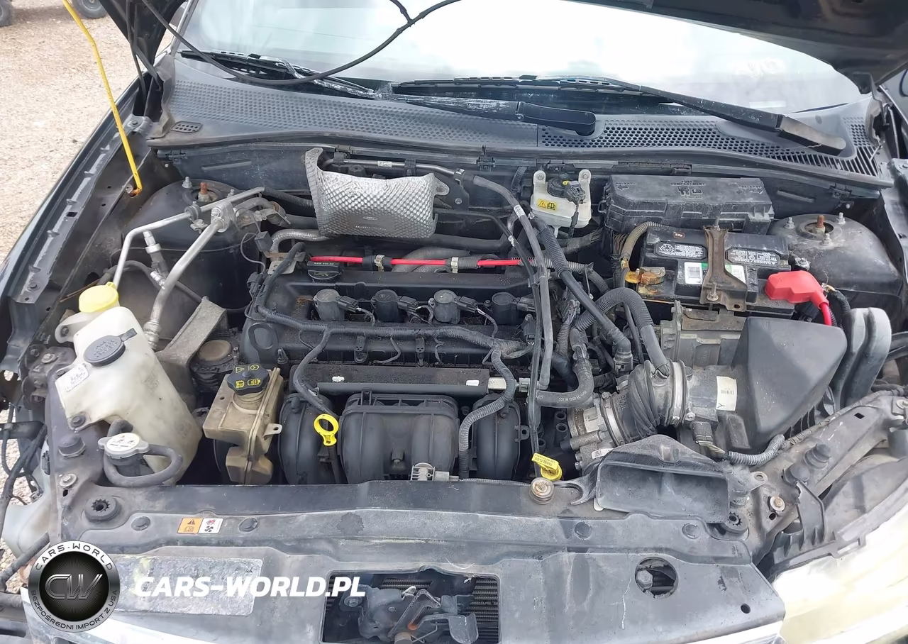 2010 Ford Focus Se VIN:1FAHP3FN0AW218866 - 10