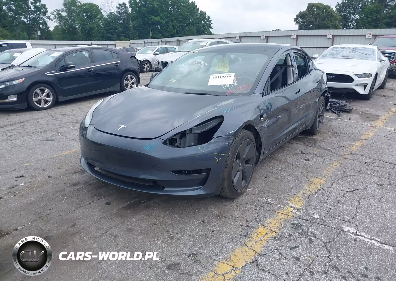 2023 Tesla Model 3 Rear-Wheel Drive VIN:5YJ3E1EA5PF705622 - 2