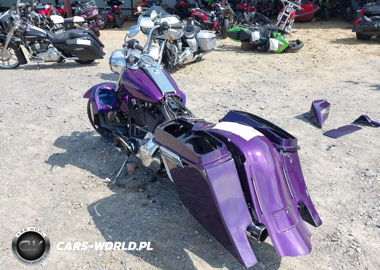 2001 Harley-Davidson Flhri VIN:1HD1FBW121Y614242 - 3