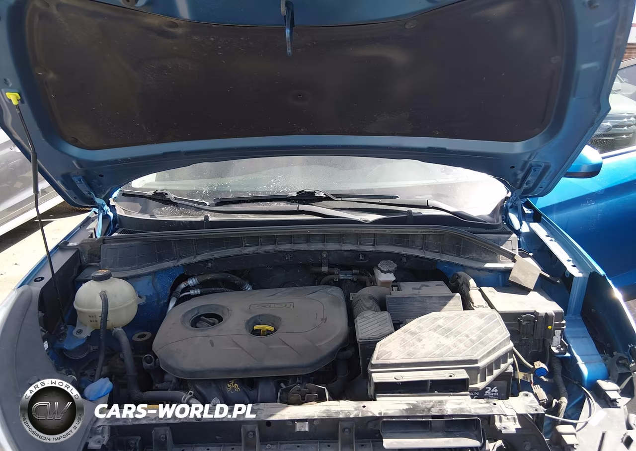 2017 Hyundai Tucson Se VIN:KM8J3CA47HU292941 - 10