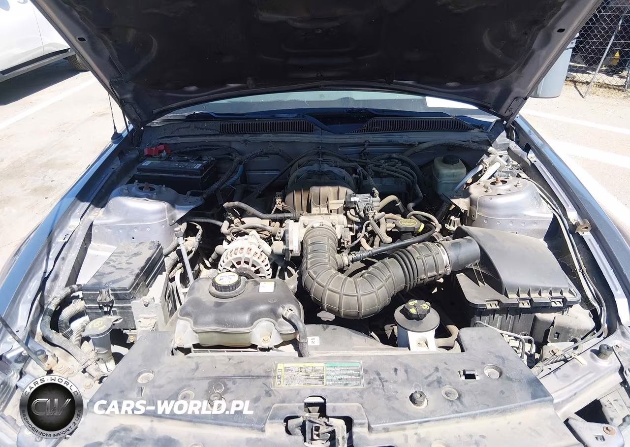2006 Ford Mustang V6 VIN:1ZVFT80N265183423 - 10
