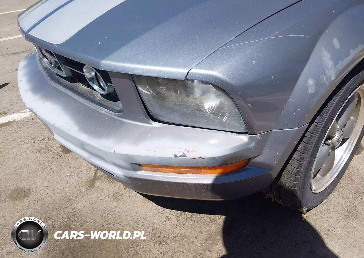 2006 Ford Mustang V6 VIN:1ZVFT80N265183423 - 13