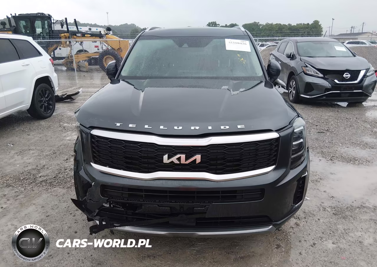 2022 Kia Telluride Ex VIN:5XYP34HC9NG264475 - 11