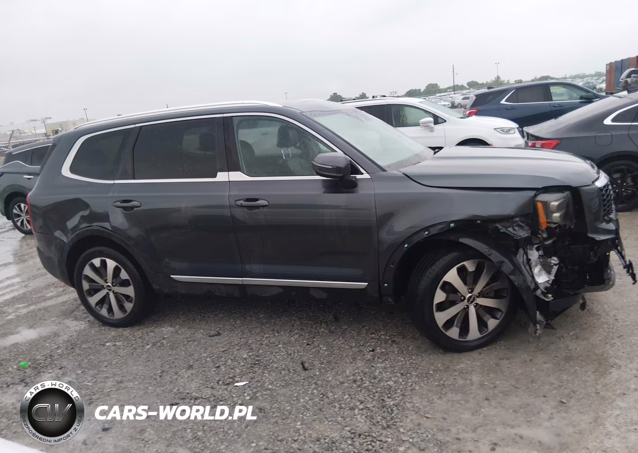 2022 Kia Telluride Ex VIN:5XYP34HC9NG264475 - 12