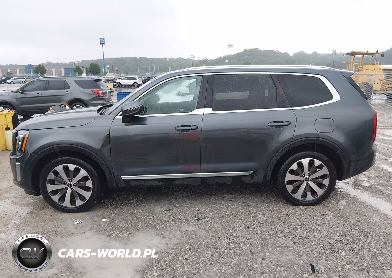 2022 Kia Telluride Ex VIN:5XYP34HC9NG264475 - 13