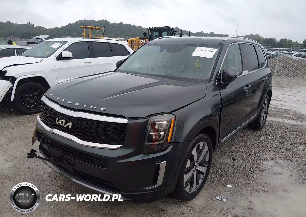 2022 Kia Telluride Ex VIN:5XYP34HC9NG264475 - 19
