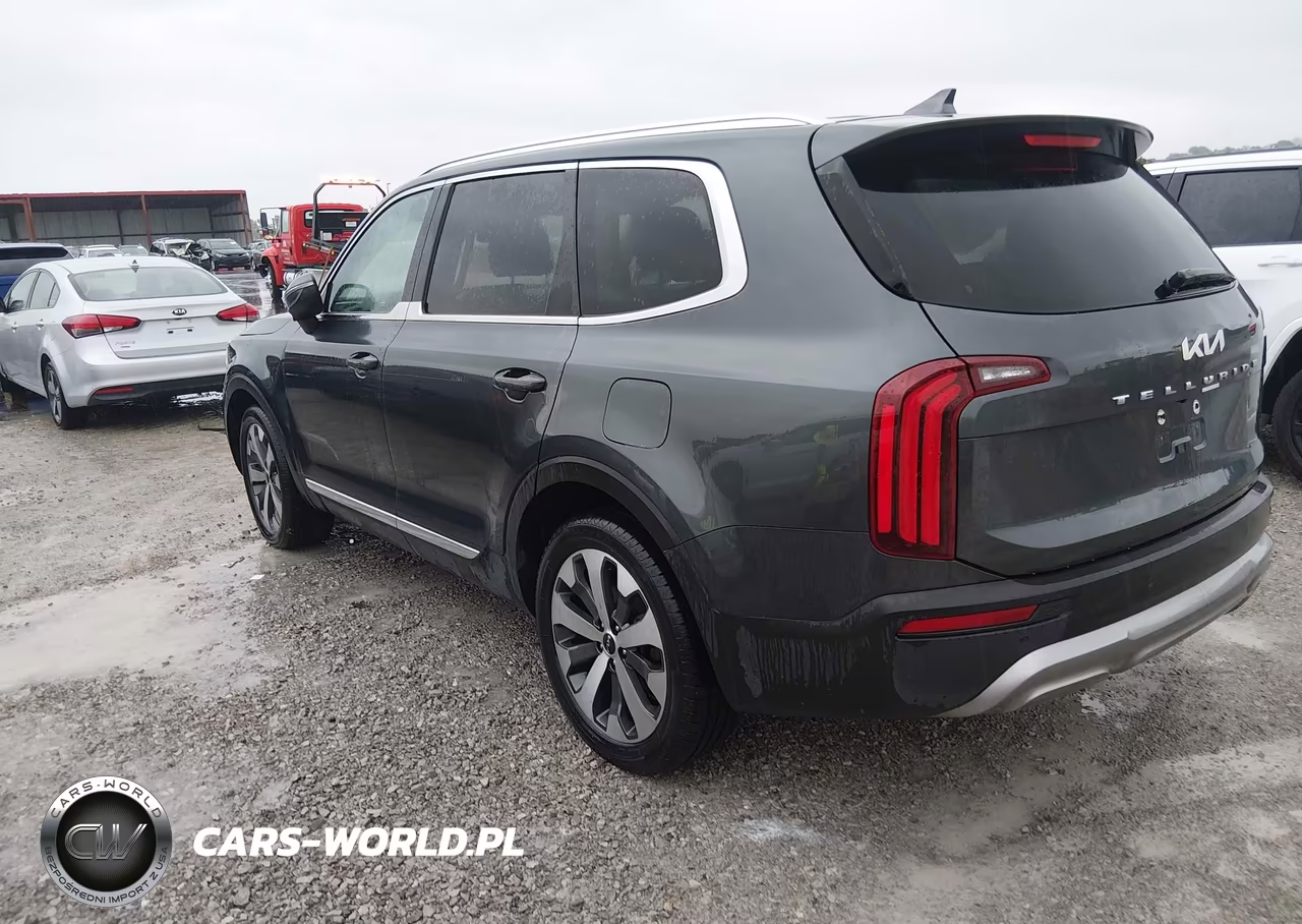 2022 Kia Telluride Ex VIN:5XYP34HC9NG264475 - 3
