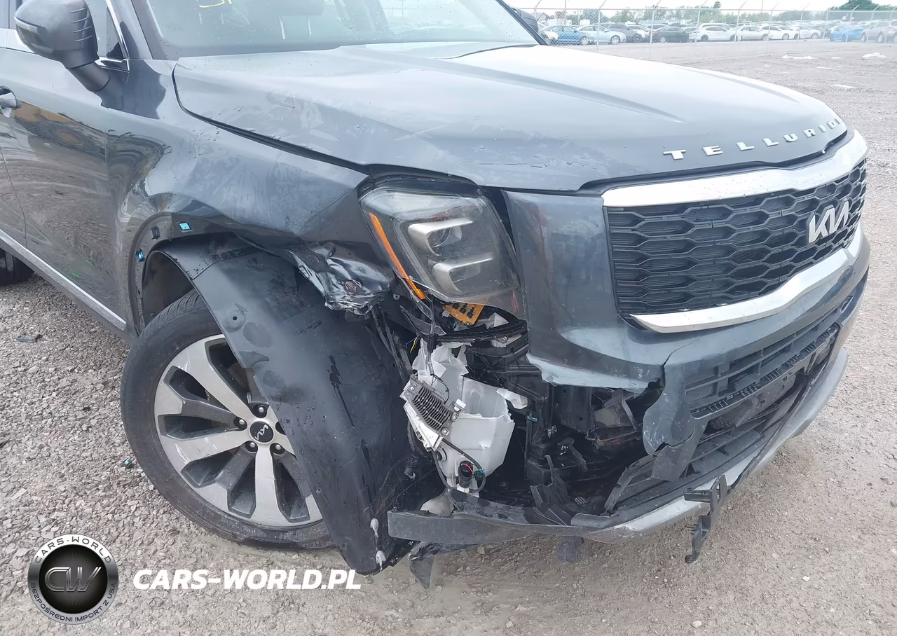 2022 Kia Telluride Ex VIN:5XYP34HC9NG264475 - 6