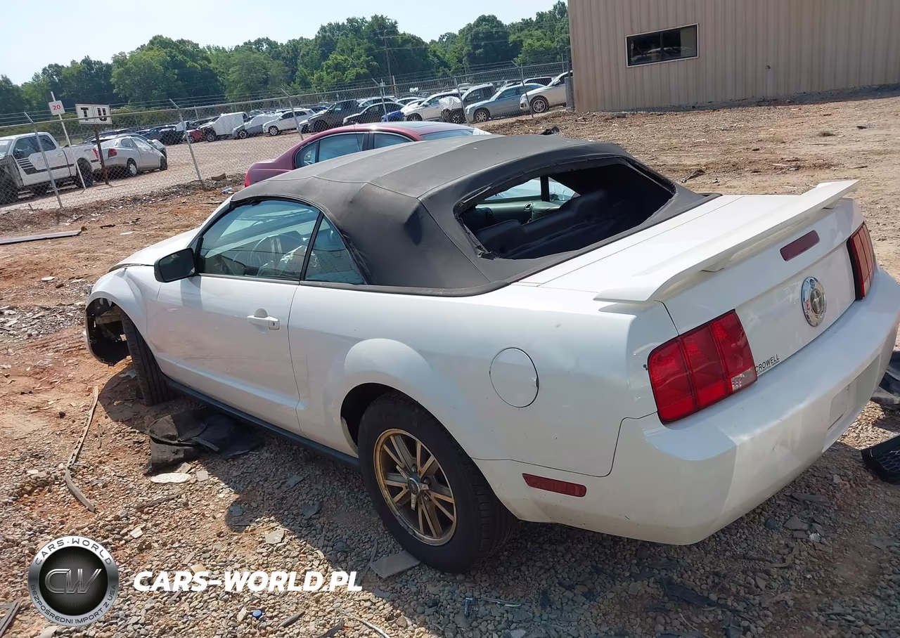 2005 Ford Mustang VIN:1ZVFT84N755234276 - 14