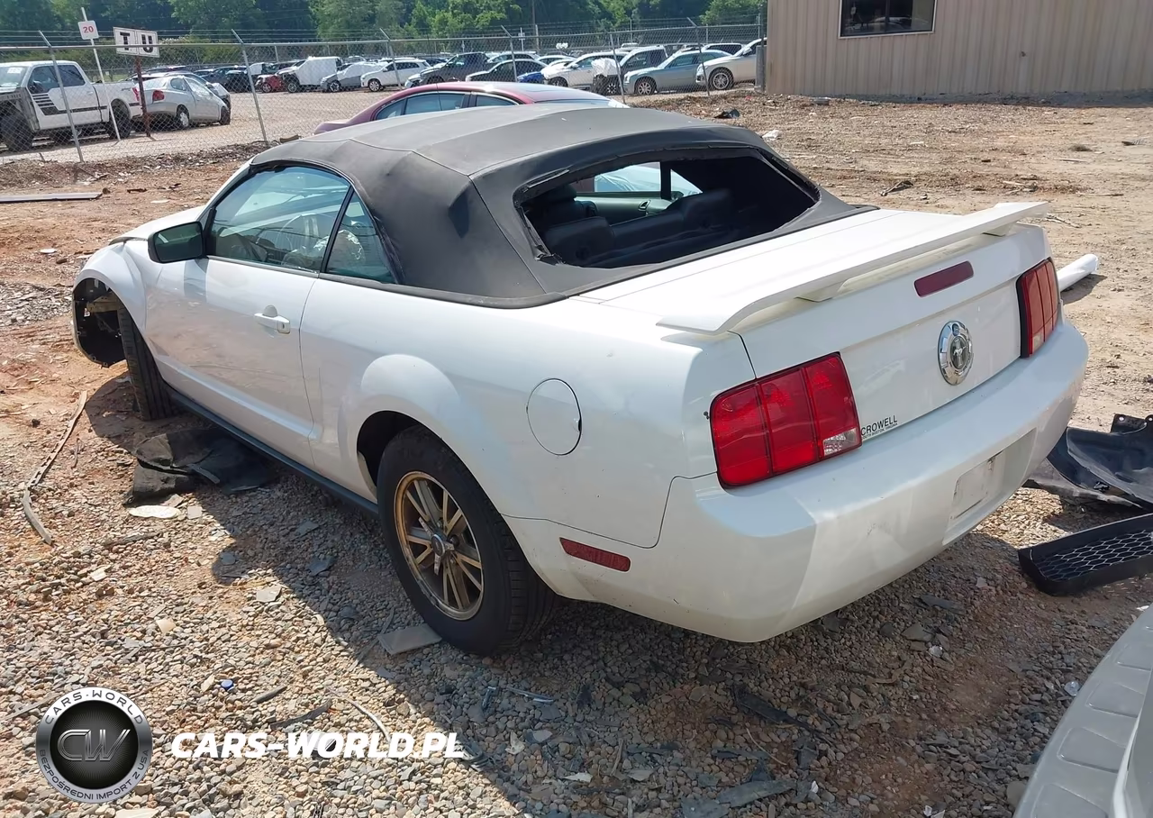 2005 Ford Mustang VIN:1ZVFT84N755234276 - 3