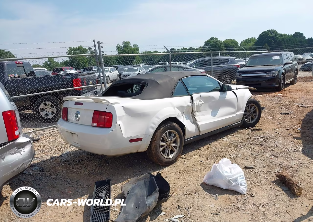 2005 Ford Mustang VIN:1ZVFT84N755234276 - 4