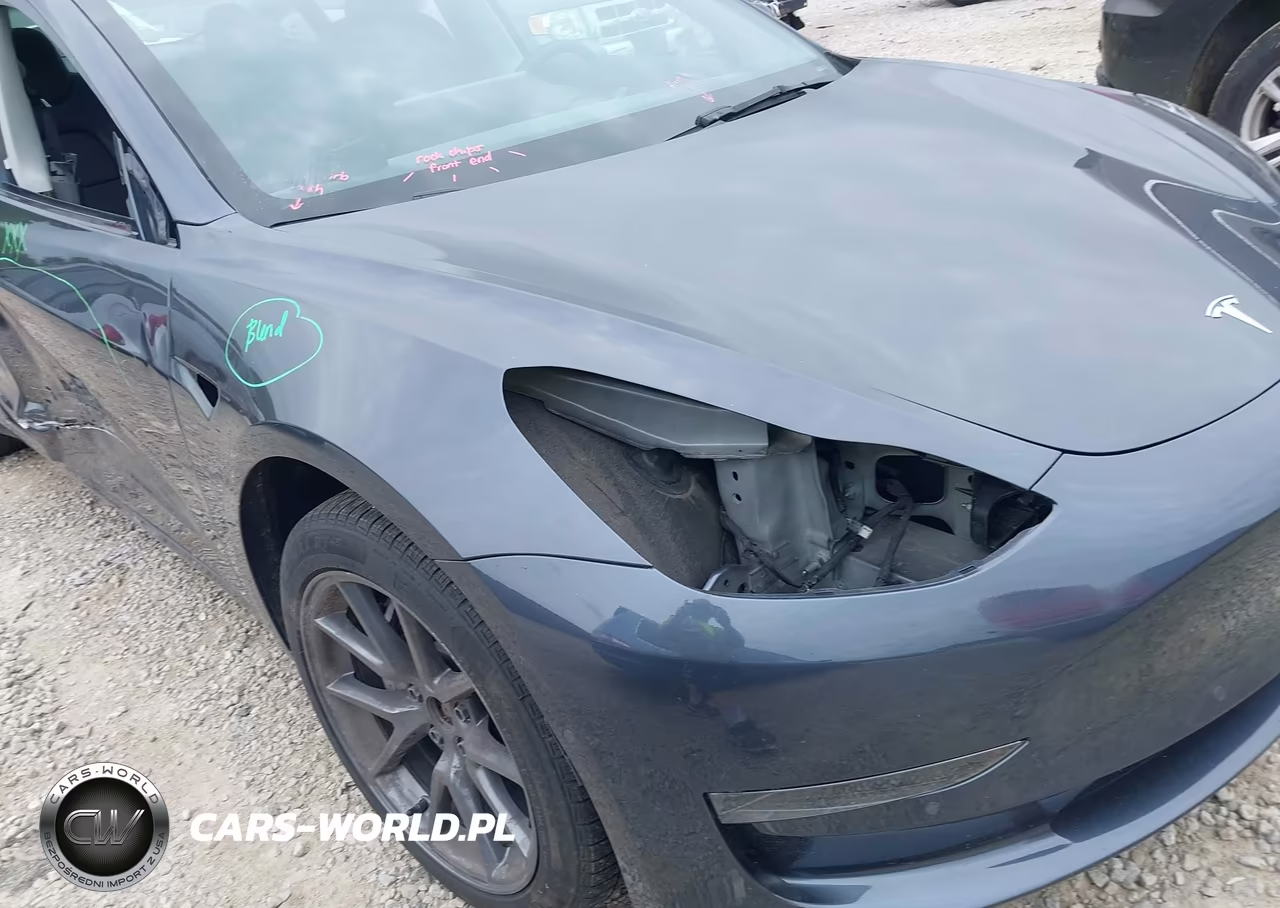 2022 Tesla Model 3 Long Range Dual Motor All-Wheel Drive VIN:5YJ3E1EB9NF341968 - 19
