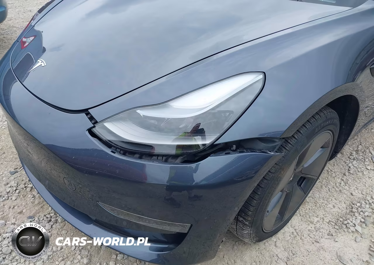2022 Tesla Model 3 Long Range Dual Motor All-Wheel Drive VIN:5YJ3E1EB9NF341968 - 20