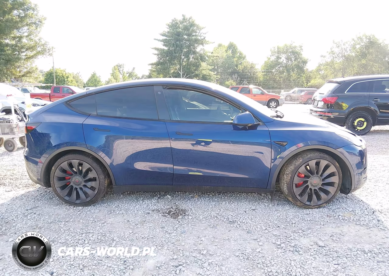 2022 Tesla Model Y Performance Dual Motor All-Wheel Drive VIN:7SAYGDEF7NF310239 - 12