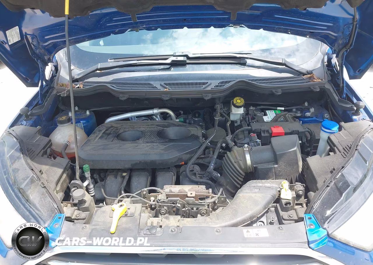 2019 Ford Ecosport Titanium VIN:MAJ6S3KL3KC260610 - 10
