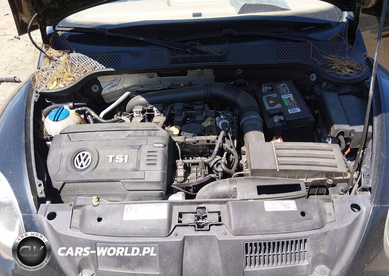2016 Volkswagen Beetle VIN:3VWJ07AT5GM635497 - 10