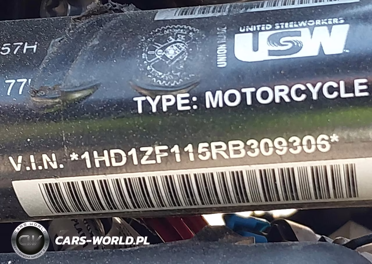 2024 Harley-Davidson Rh975 S VIN:1HD1ZF115RB309306 - 10