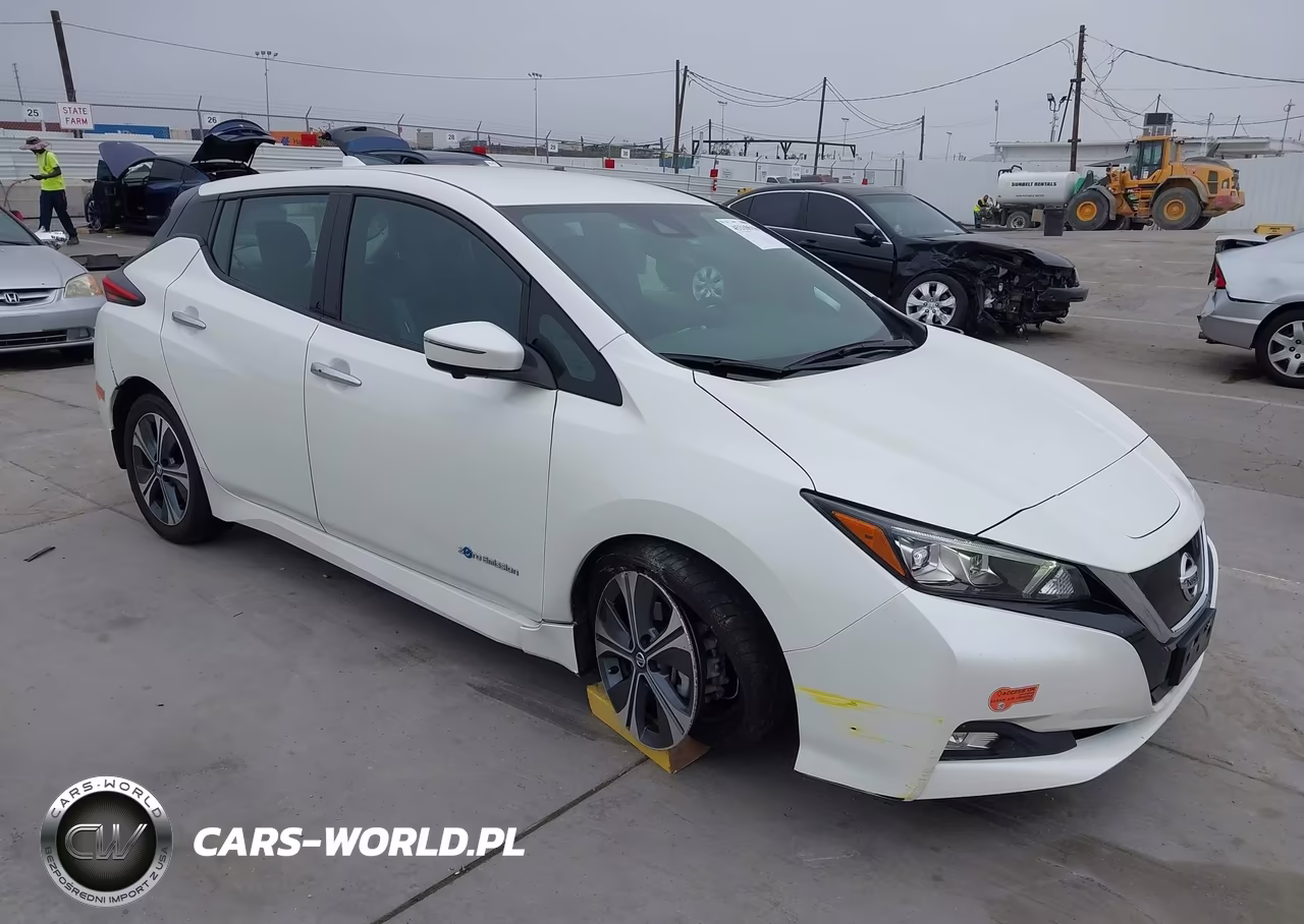 2019 Nissan Leaf Sl