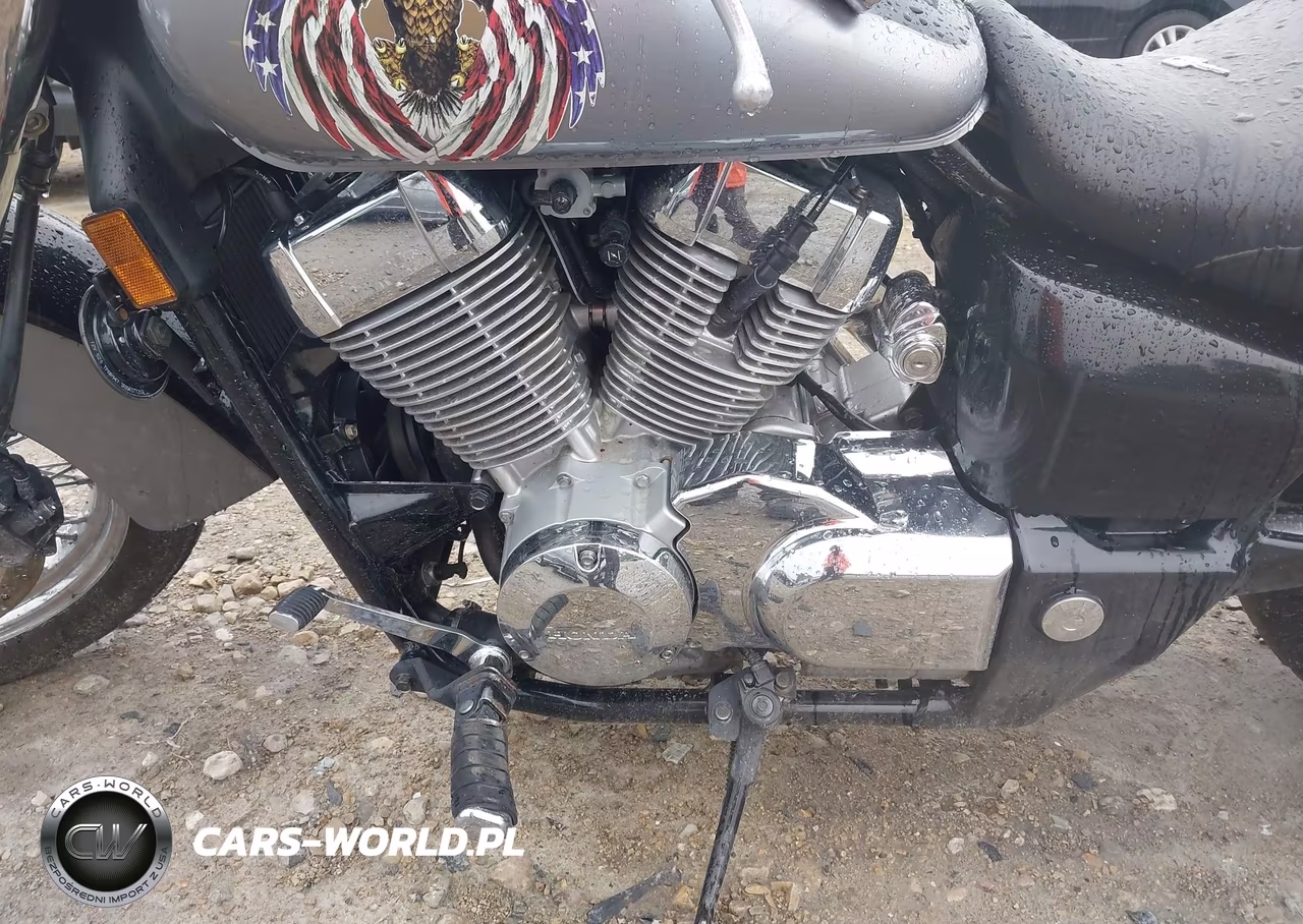 2005 Honda Vt750 Ca VIN:JH2RC50335M107296 - 9