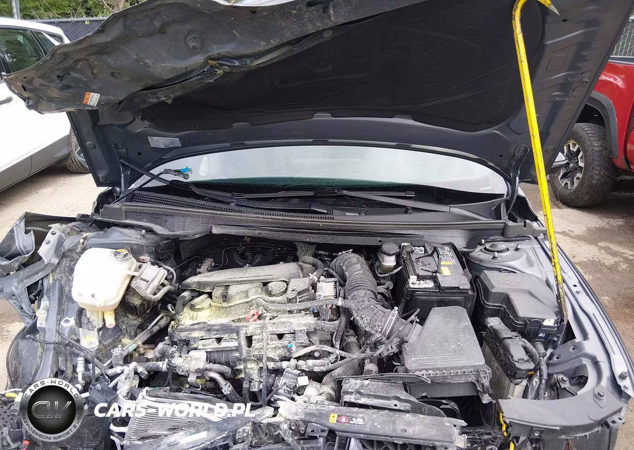 2024 Hyundai Elantra N Line VIN:KMHLR4DF2RU821160 - 10