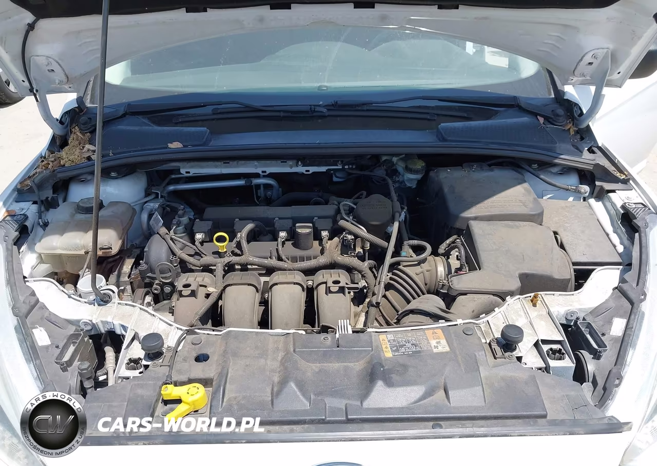 2015 Ford Focus S VIN:1FADP3E29FL385774 - 10
