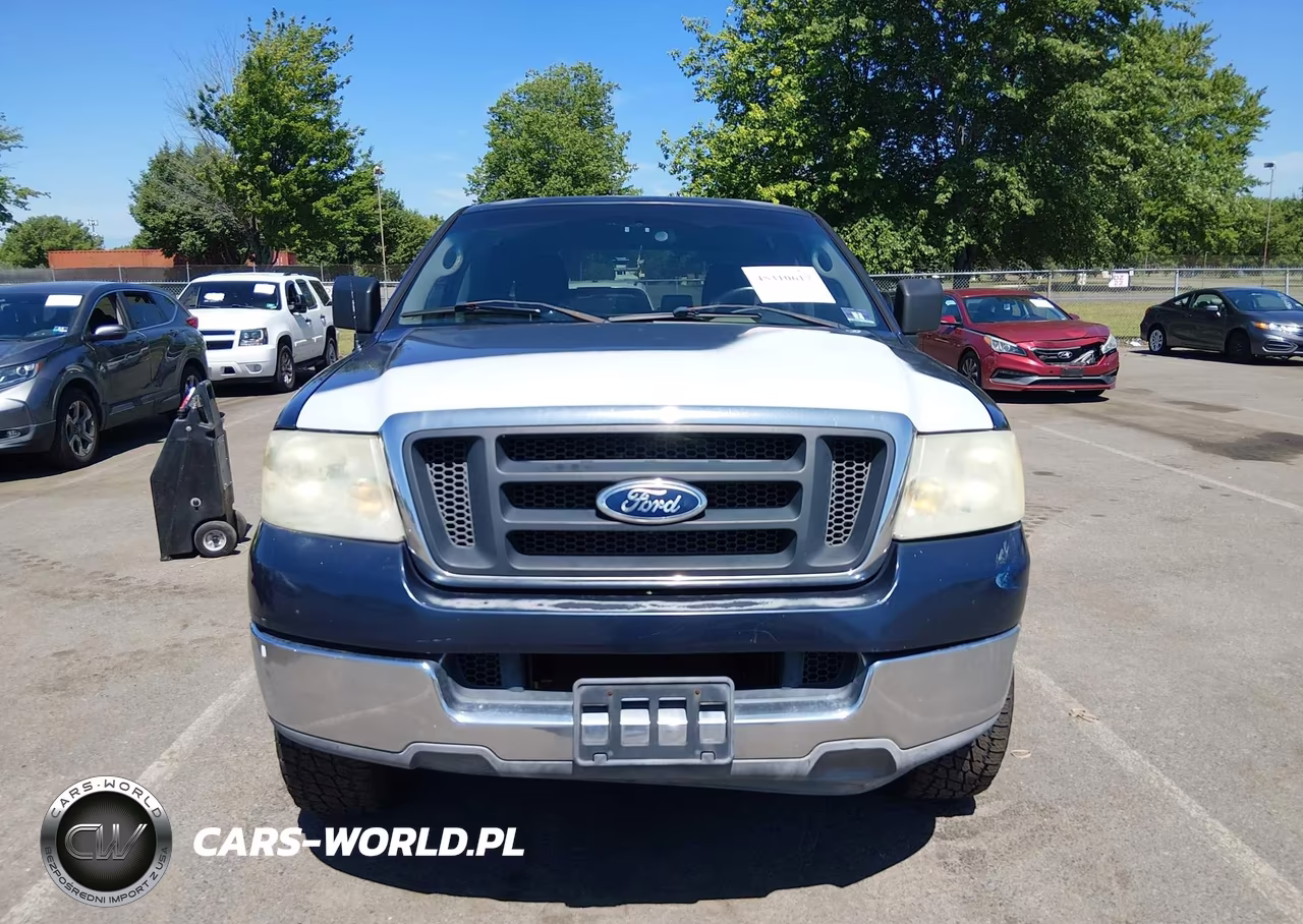 2004 Ford F-150 Stx-Xl-Xlt VIN:1FTRX12W44NA45316 - 12