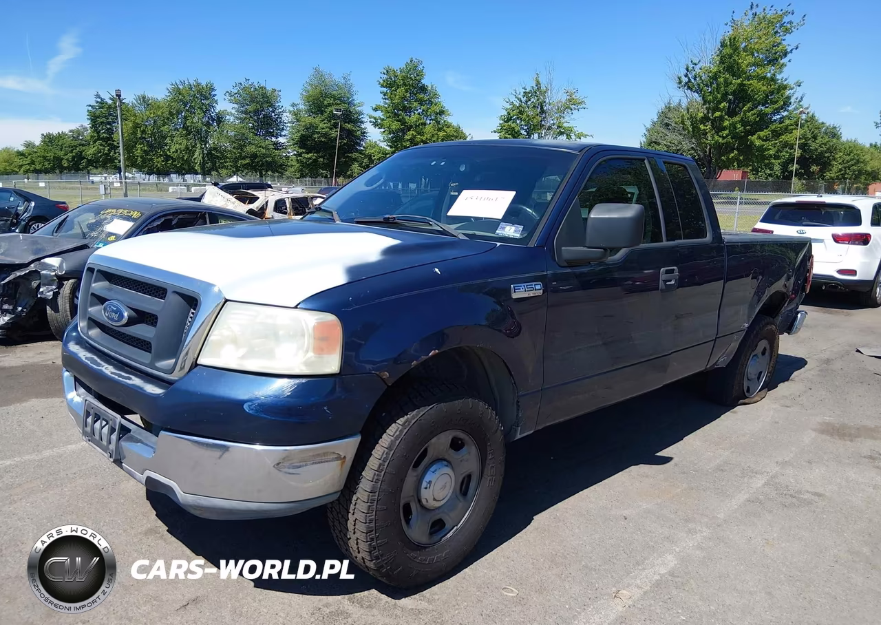 2004 Ford F-150 Stx-Xl-Xlt VIN:1FTRX12W44NA45316 - 2