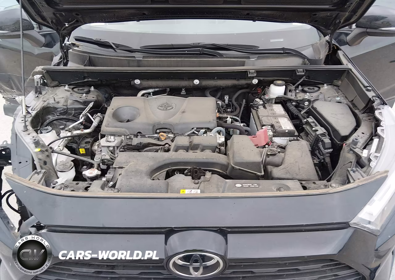 2023 Toyota Rav4 Xle VIN:2T3W1RFV0PC218767 - 10