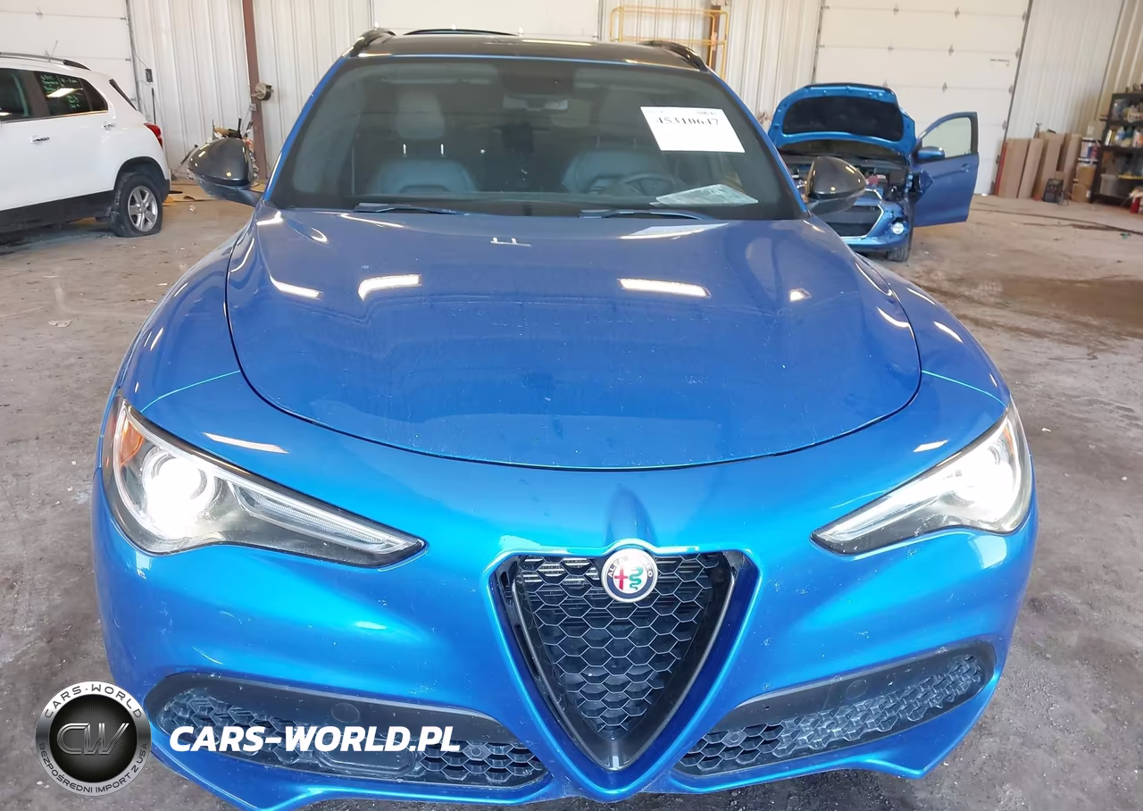 2019 Alfa Romeo Stelvio Ti Sport Awd VIN:ZASPAKBN0K7C50954 - 12