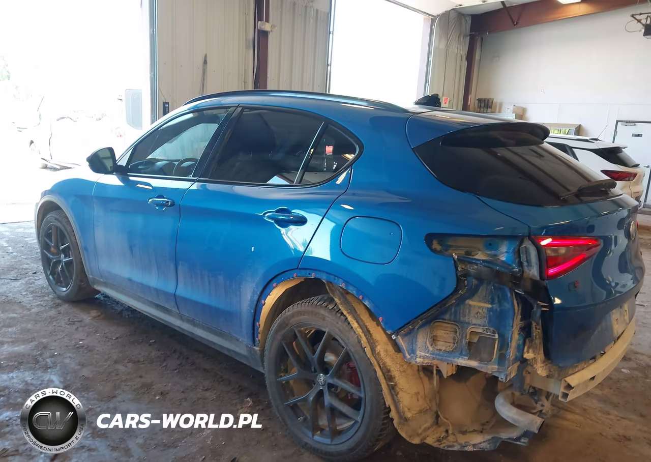 2019 Alfa Romeo Stelvio Ti Sport Awd VIN:ZASPAKBN0K7C50954 - 3