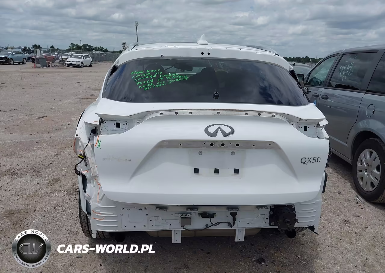 2019 Infiniti Qx50 Luxe VIN:3PCAJ5M17KF148152 - 17