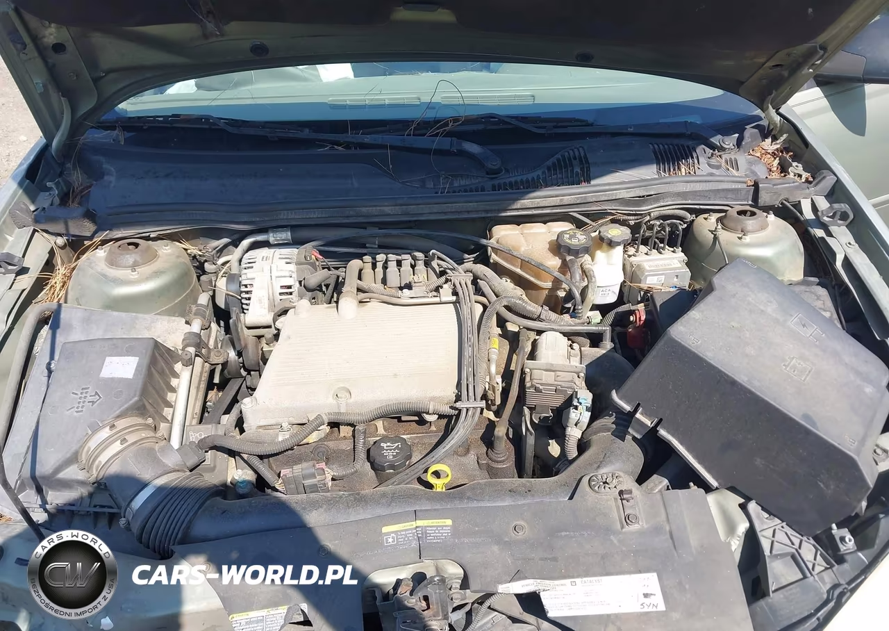 2004 Chevrolet Malibu Ls VIN:1G1ZT548X4F146655 - 10