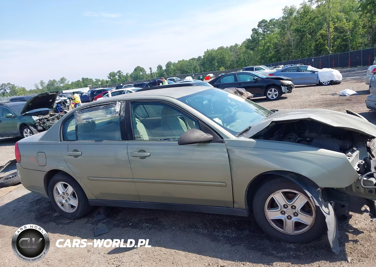 2004 Chevrolet Malibu Ls VIN:1G1ZT548X4F146655 - 14